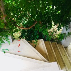 Apartman 1